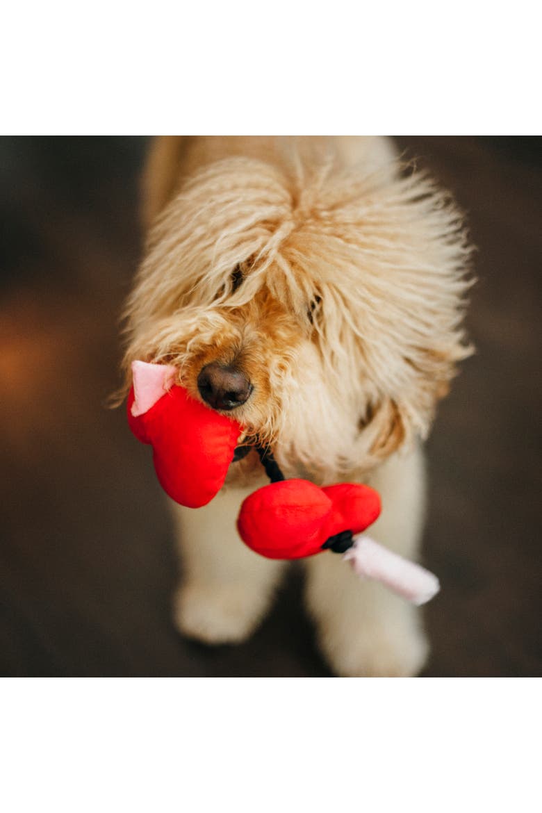 Puppy Love, Furever Hearts Plush Toy, 2 Squeaker Hearts, Alternate, color, Red