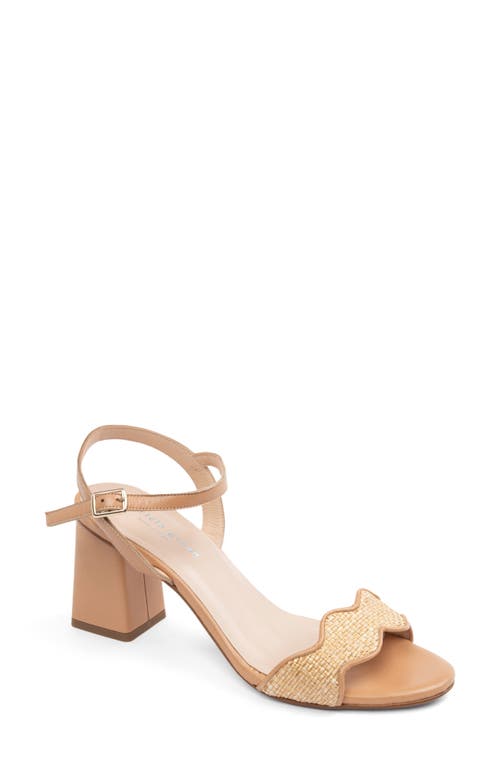 Shop Patricia Green Palm Beach Sandal In Natural Raffia