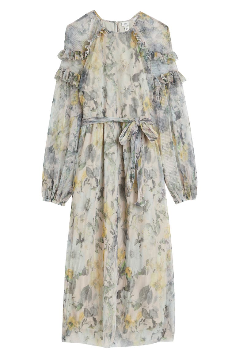 Floral Ruffle Trim Long Sleeve Mesh Plissé Dress, Alternate, color, CREAM