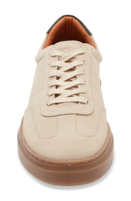 Bruno Magli Serafino Low Top Sneaker In Off White/green Suede