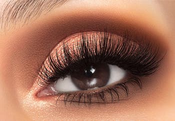 Petite Eyeshadow Stack
