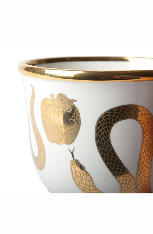 Jonathan Adler Botanist Snake & Apple Decorative Bowl In White/gold