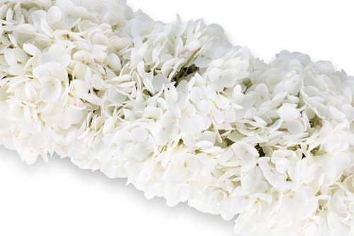 Cocobella Bellamy Oblong Hydrangea Arrangement