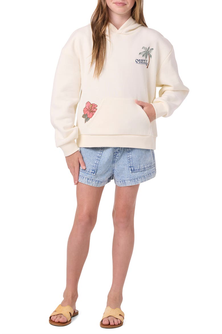 Kids' Asher Embroidered Hoodie, Alternate, color, WINTER WHITE