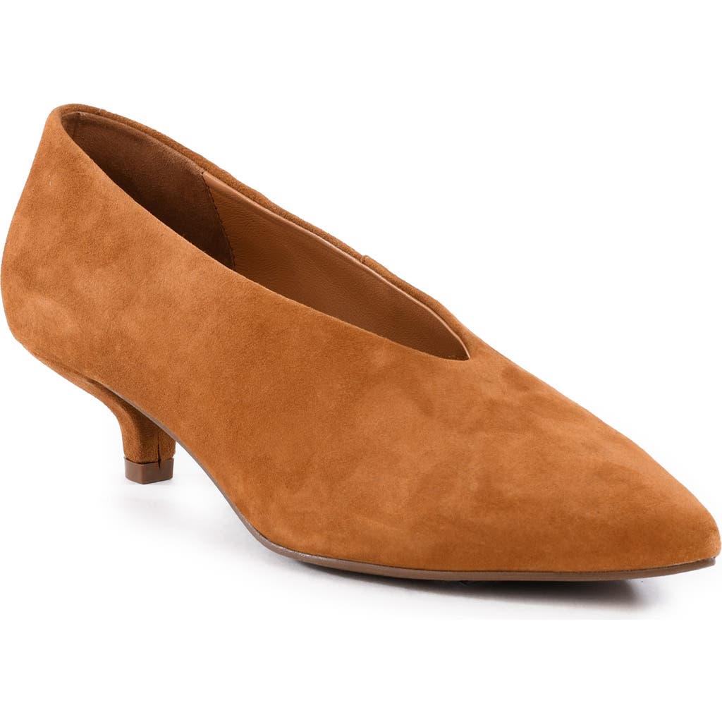 Seychelles Libertine Pointed Toe Kitten Heel Pump In Brown