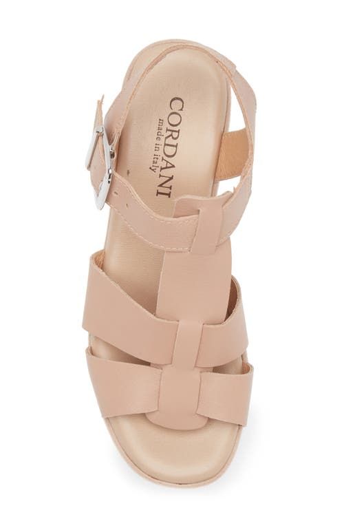 Cordani Jordynn Ankle Strap Platform Wedge Sandal In Beige