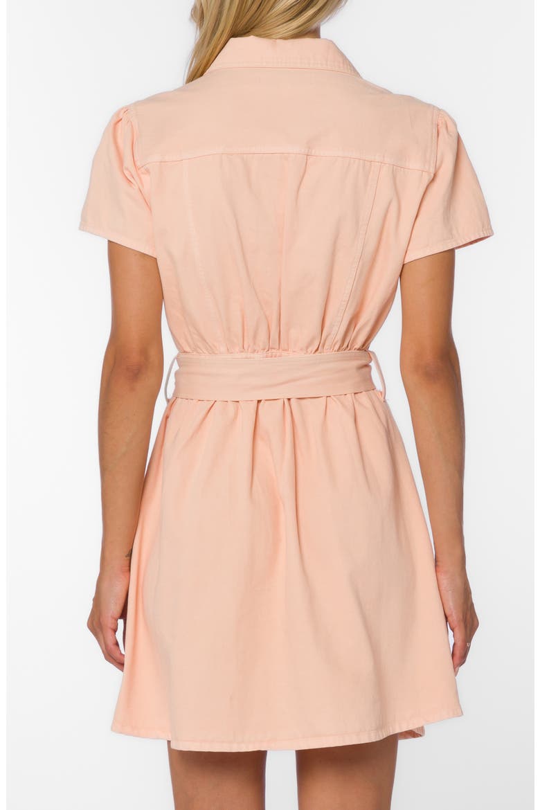 Fonda Belted Utility Shirtdress, Alternate, color, APRICOT