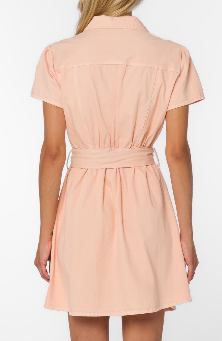 VELVET HEART Fonda Belted Utility Shirtdress, Alternate, color, Apricot