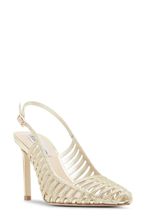 Shop Steve Madden Carleight Slingback Pointed Toe Pump In Gold