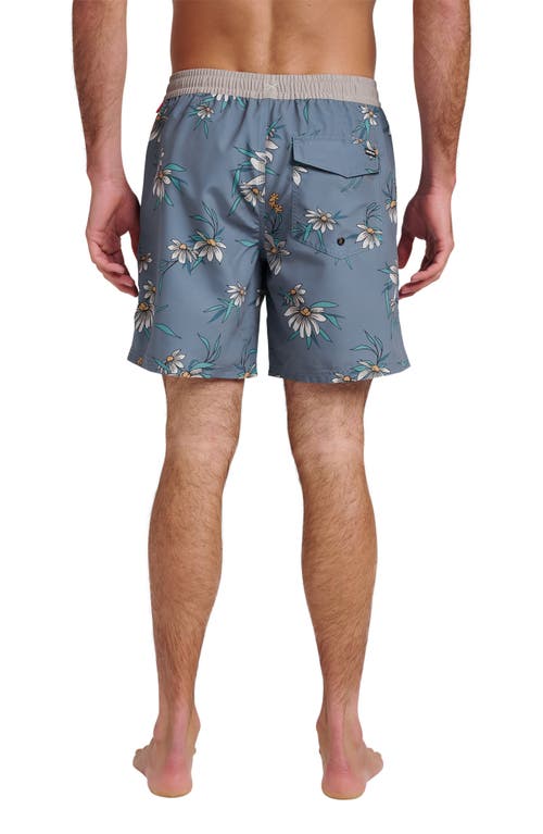 Quiksilver Everyday Water Repellent Coastal Flora Volley 6-inch Swim Trunks In Animal Print