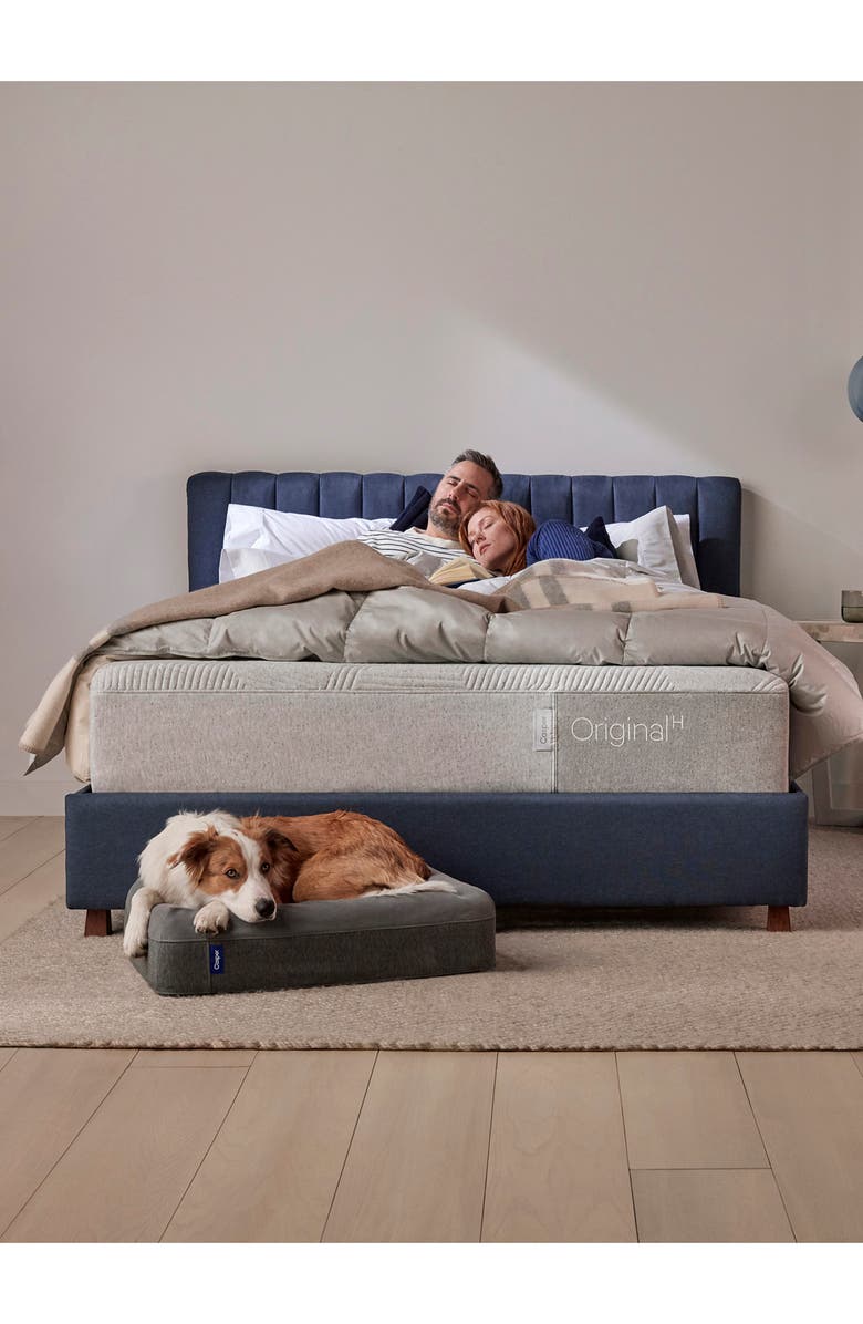Casper Dog Bed, Alternate, color,