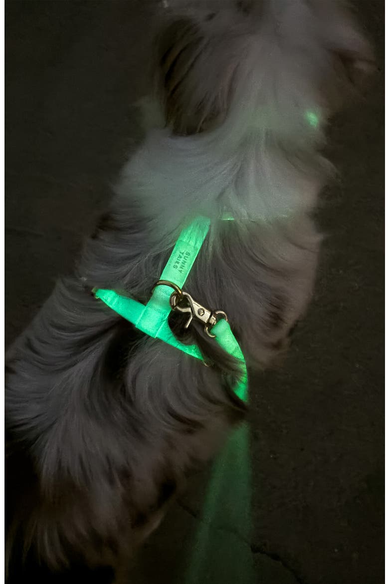Cloud Lite Waterproof Dog Harness, Alternate, color, LUNAR GLOW