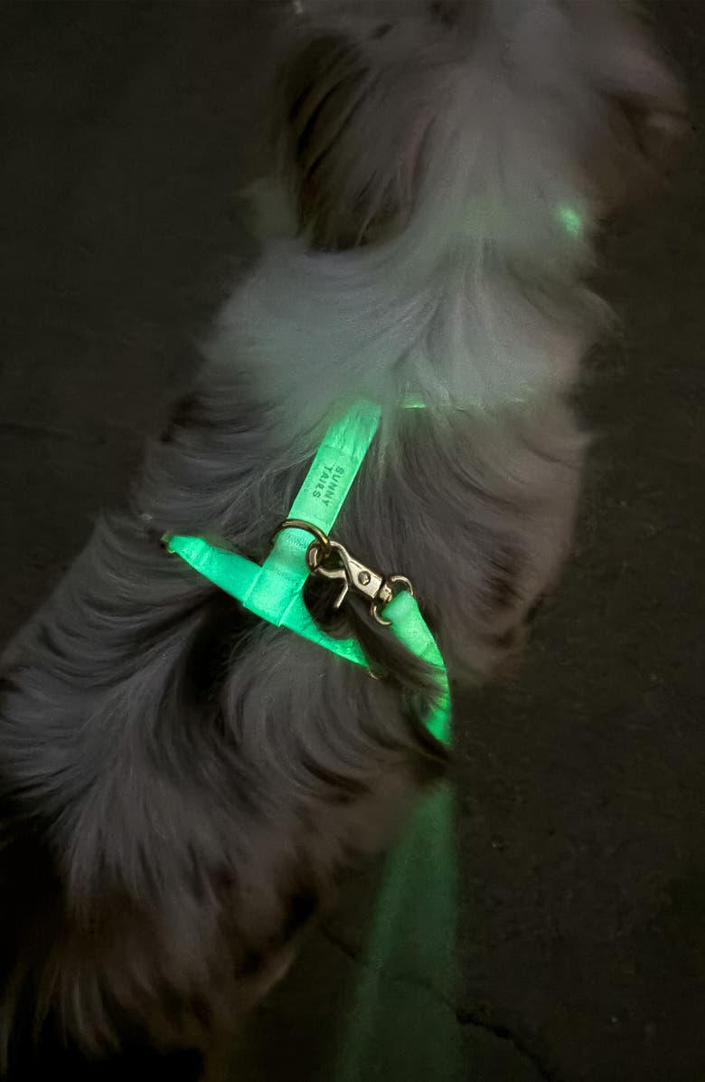 SUNNY TAILS Cloud Lite Waterproof Dog Harness, Alternate, color, Lunar Glow