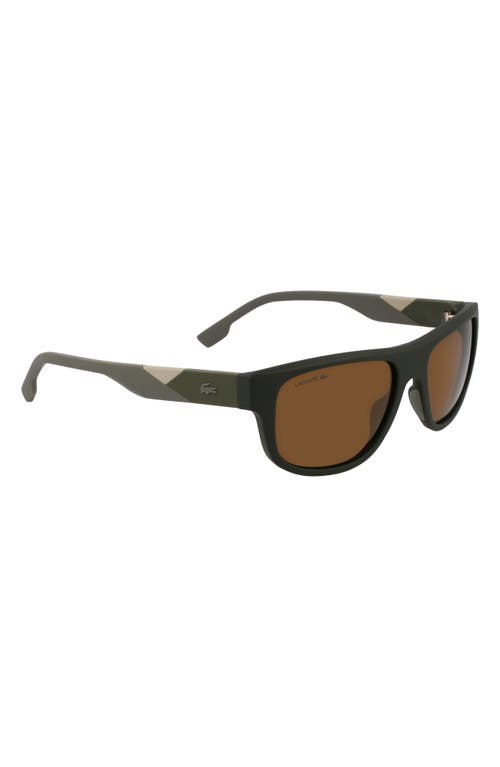 Lacoste L6042s 55mm Rectangular Sunglasses In Black