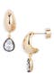 selected Clear- Black- Gold