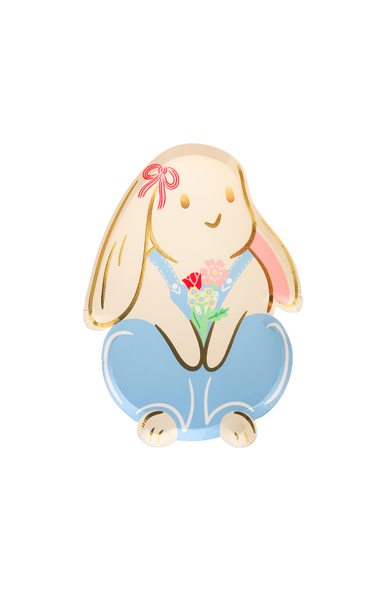 Daydream Society Bunnies In The Garden Overalls Bunny Large Plates, Main, color, Asssorted Pre-Pack