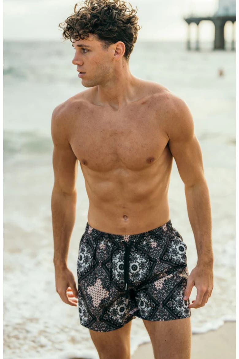 Hudson Swim Shorts, Alternate, color, Black