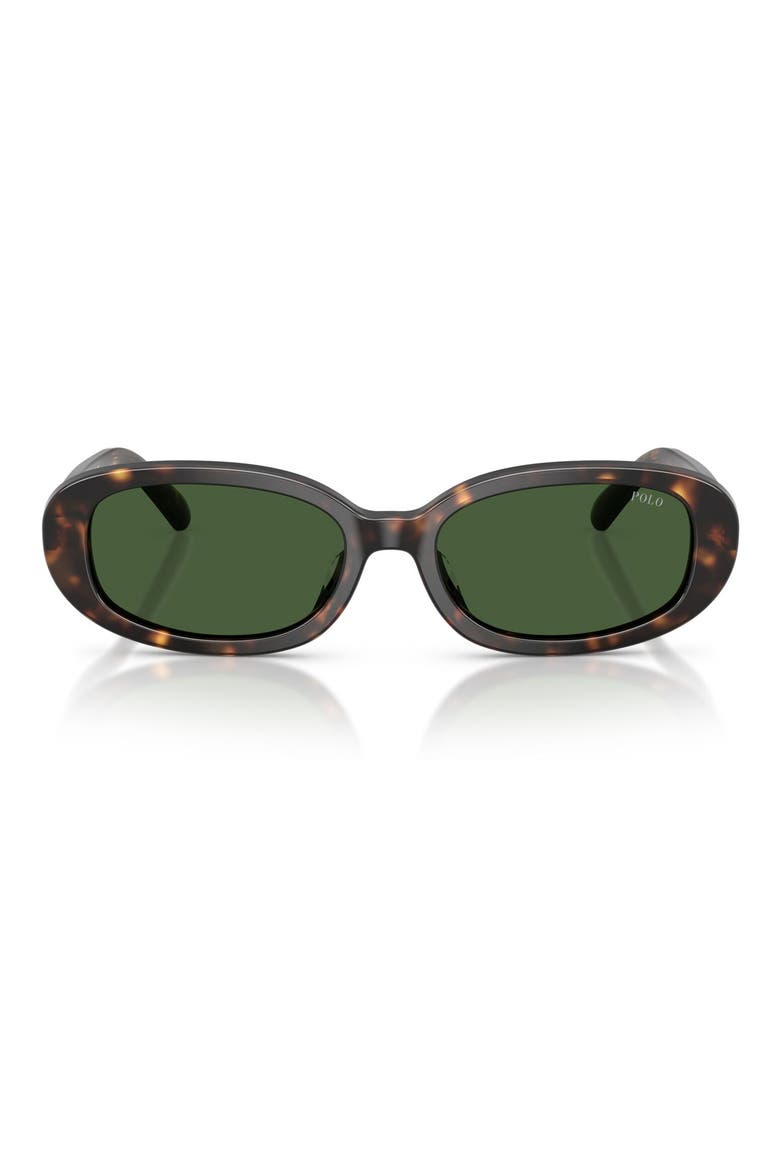 53mm Oval Sunglasses, Main, color, SHINY DARK HAVANA / GREEN