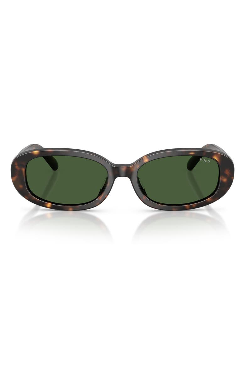 Polo Ralph Lauren 53mm Oval Sunglasses, Main, color, Shiny Dark Havana / Green