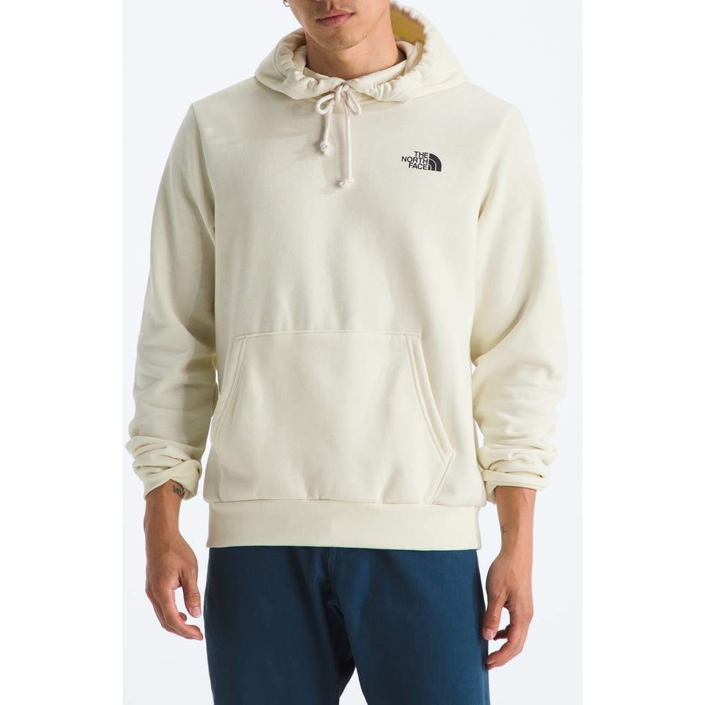 The North Face Evolution Half Dome Mountain Graphic Hoodie In Neutral