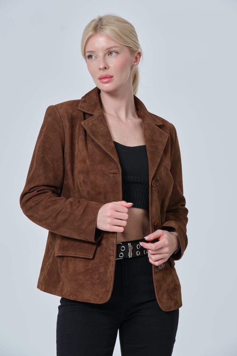 Esther Suede Jacket, Alternate, color, Chestnut