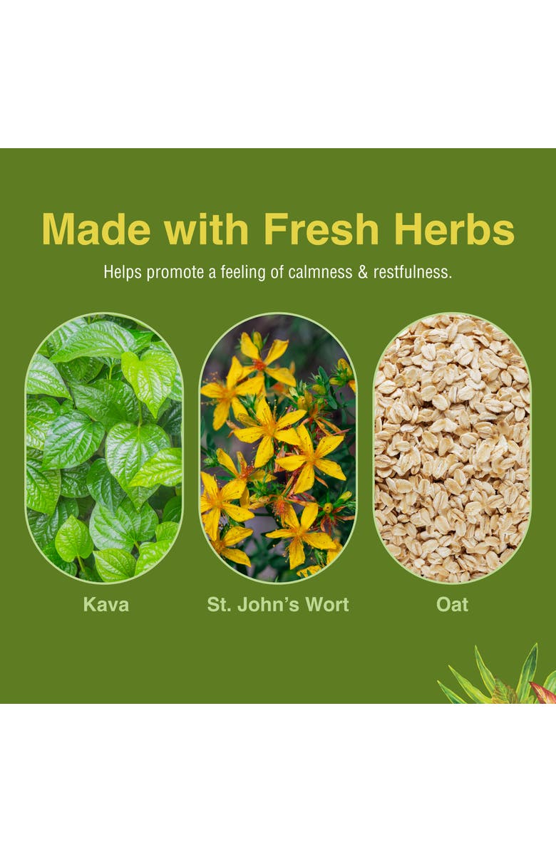 Trace Minerals Herbs Etc. Kava Cool Complex - 60 Softgels, Alternate, color, NO COLOR