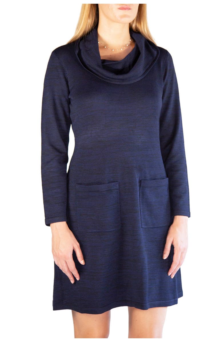 Nina Leonard Cowl Neck Pocket Sweater Dress, Main, color,