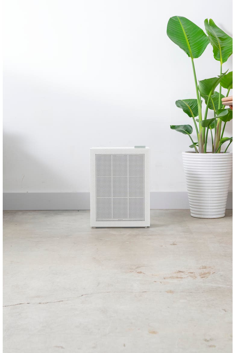Airmega 150 Air Purifier, Alternate, color, DOVE WHITE