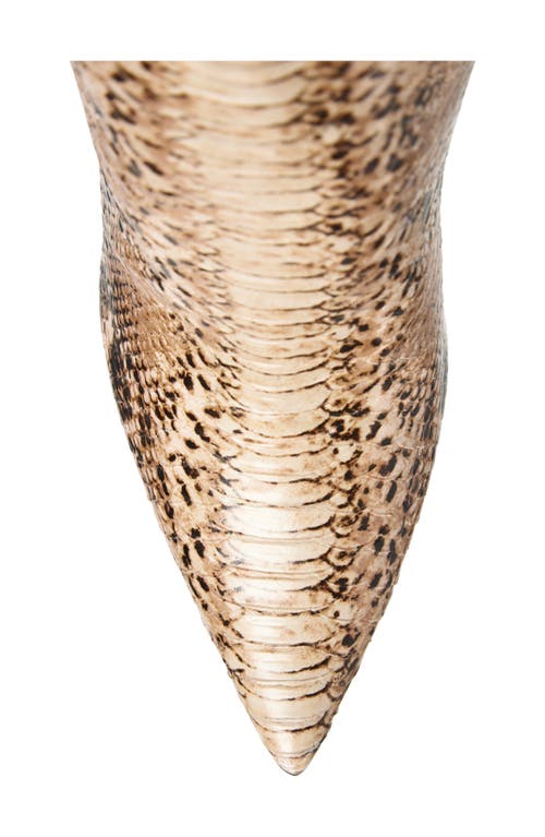 Steve Madden Kathleen Thigh High Boot In Animal Print