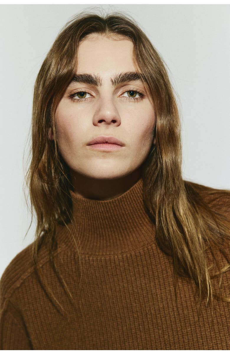 H&M Rib-knit Turtleneck Jumper, Alternate, color, Brown