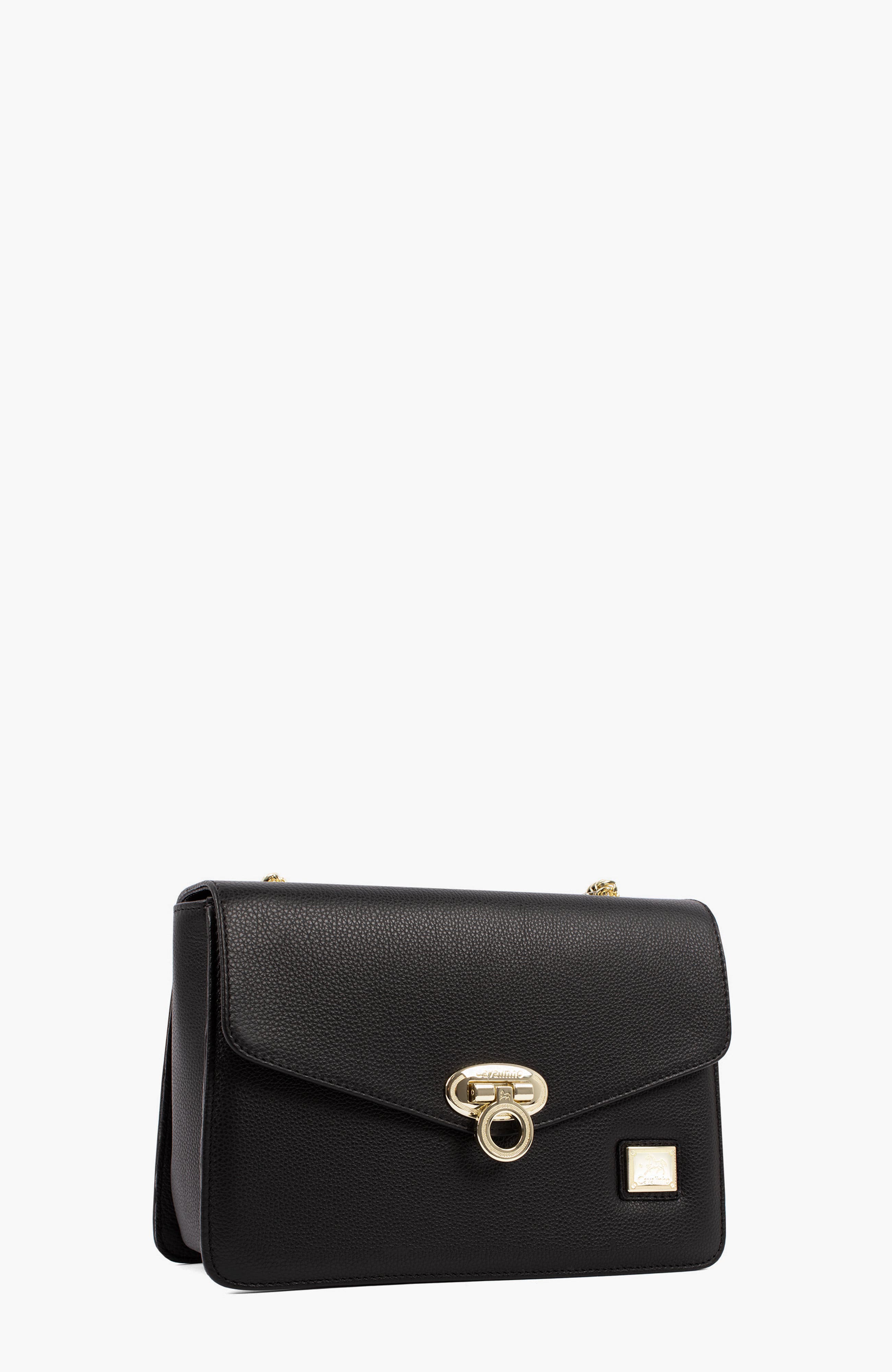 Muse 260 Pebbled Leather Shoulder Bag, Alternate, color, Black