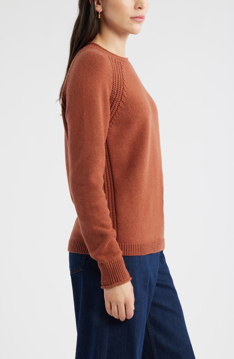 Caslon<sup>®</sup> Raglan Sleeve Roll Neck Wool & Cotton Sweater, Alternate, color, Rust Sequoia
