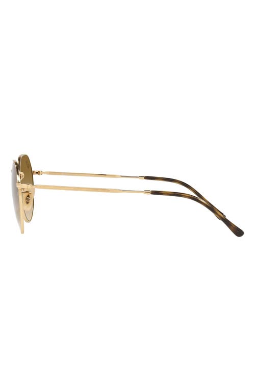 Ray Ban Ray-ban Jack 53mm Round Sunglasses In Brown