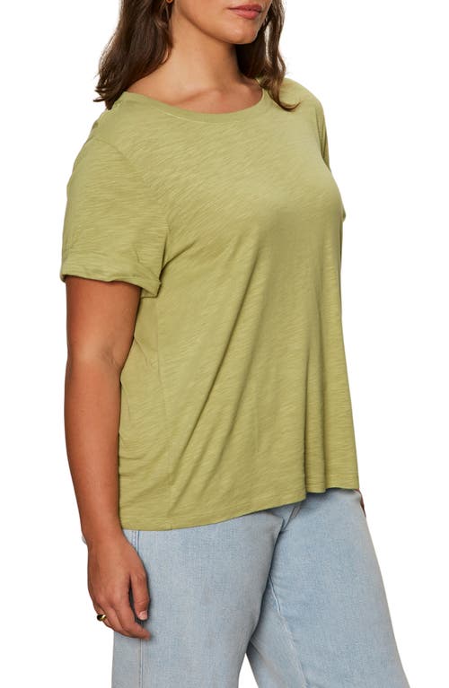 Sanctuary Perfect Roll Sleeve Cotton T-shirt