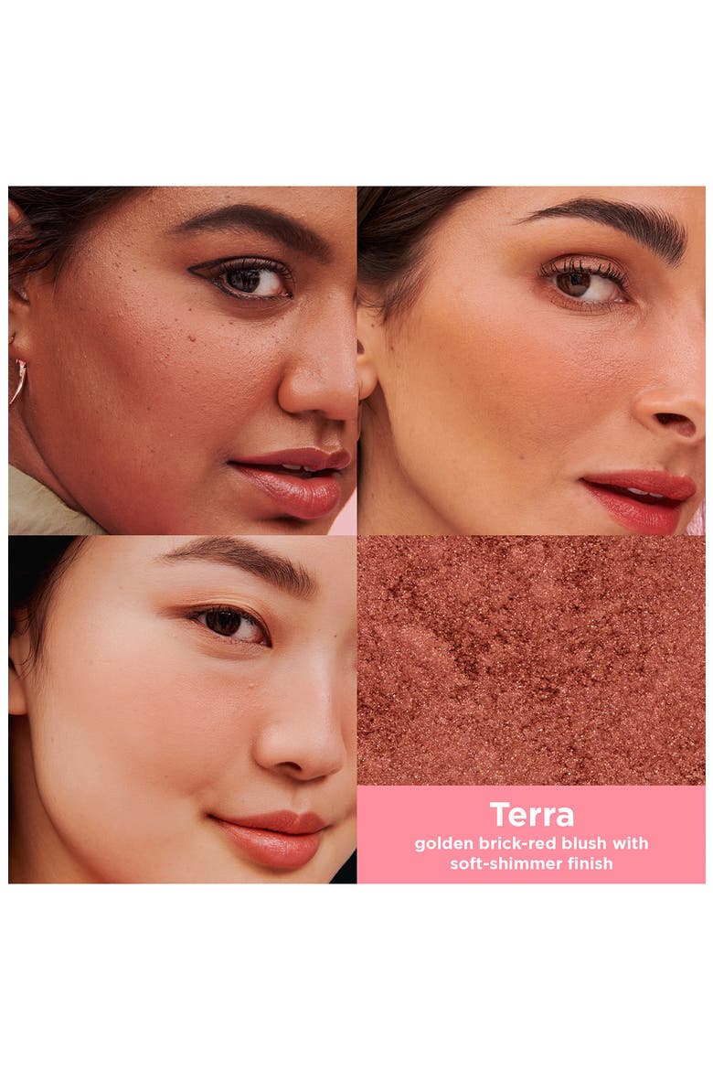 WANDERful World Silky Soft Powder Blush, Alternate, color, TERRA