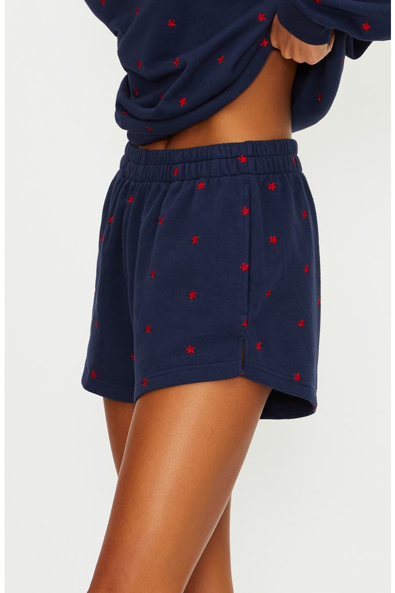 Malik Embroidered Cotton Shorts, Alternate, color, STAR SPANGLED SEAS