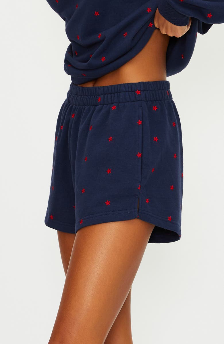 Beach Riot Malik Embroidered Cotton Shorts, Alternate, color, Star Spangled Seas