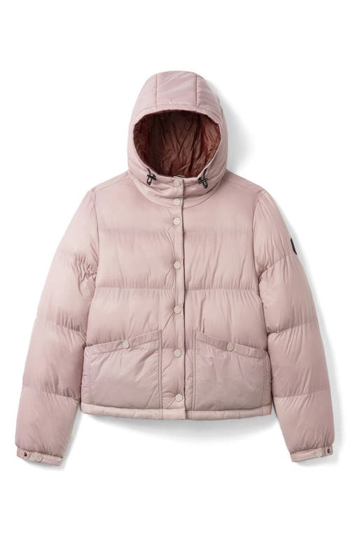 Noize Winona Hooded Puffer Jacket In Pink