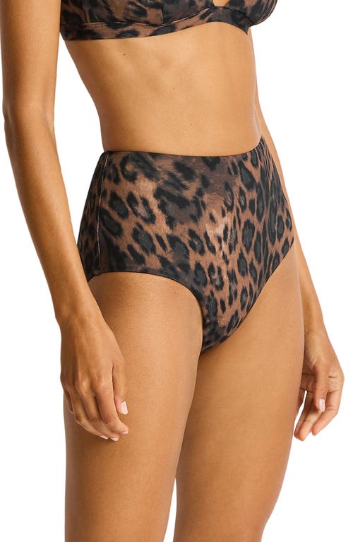 Sea Level Savanna High Waist Bikini Bottoms In Animal Print