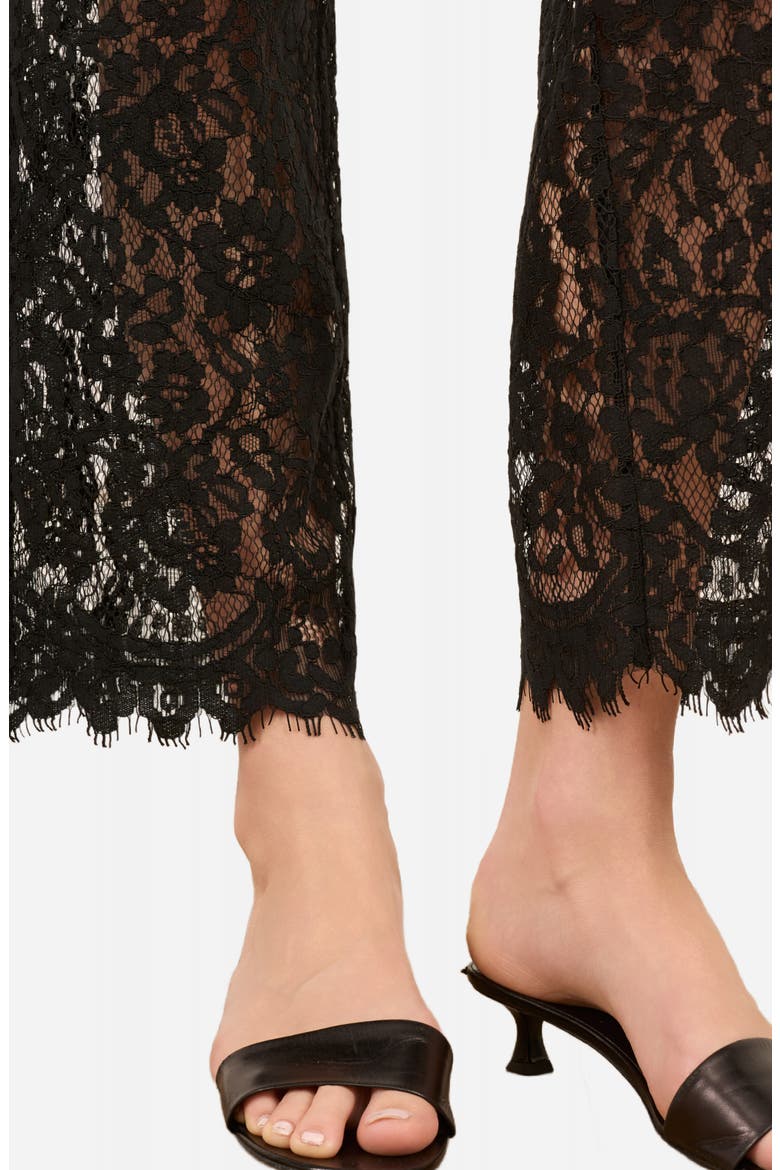 Minerva Lace Ankle Pants, Alternate, color, BLACK