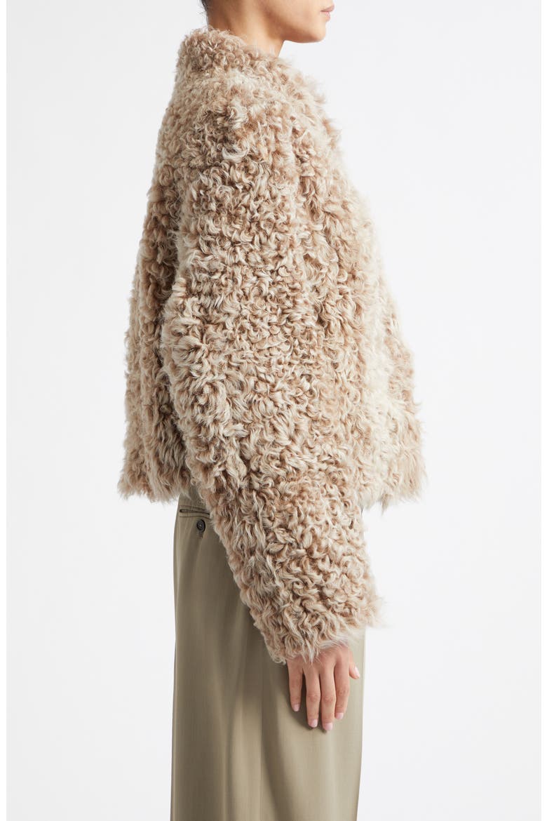 Mooneyforest Vega Genuine Shearling Jacket, Alternate, color, CAMEL