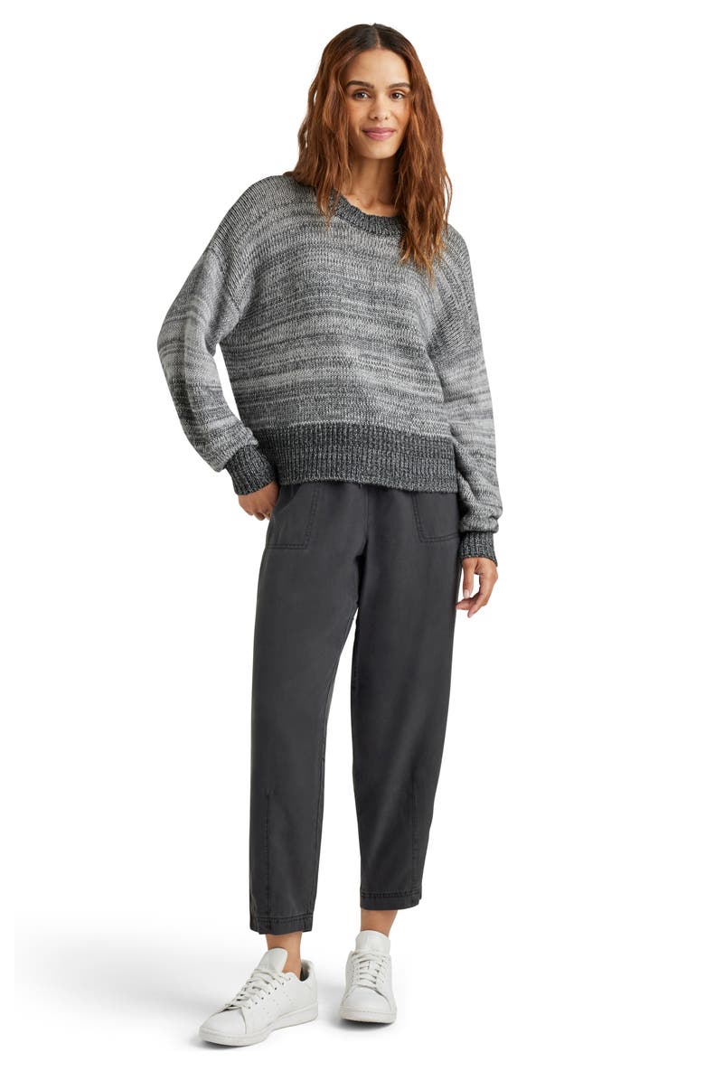 Splendid Lyra Marled Crewneck Sweater, Alternate, color, Grey Marl