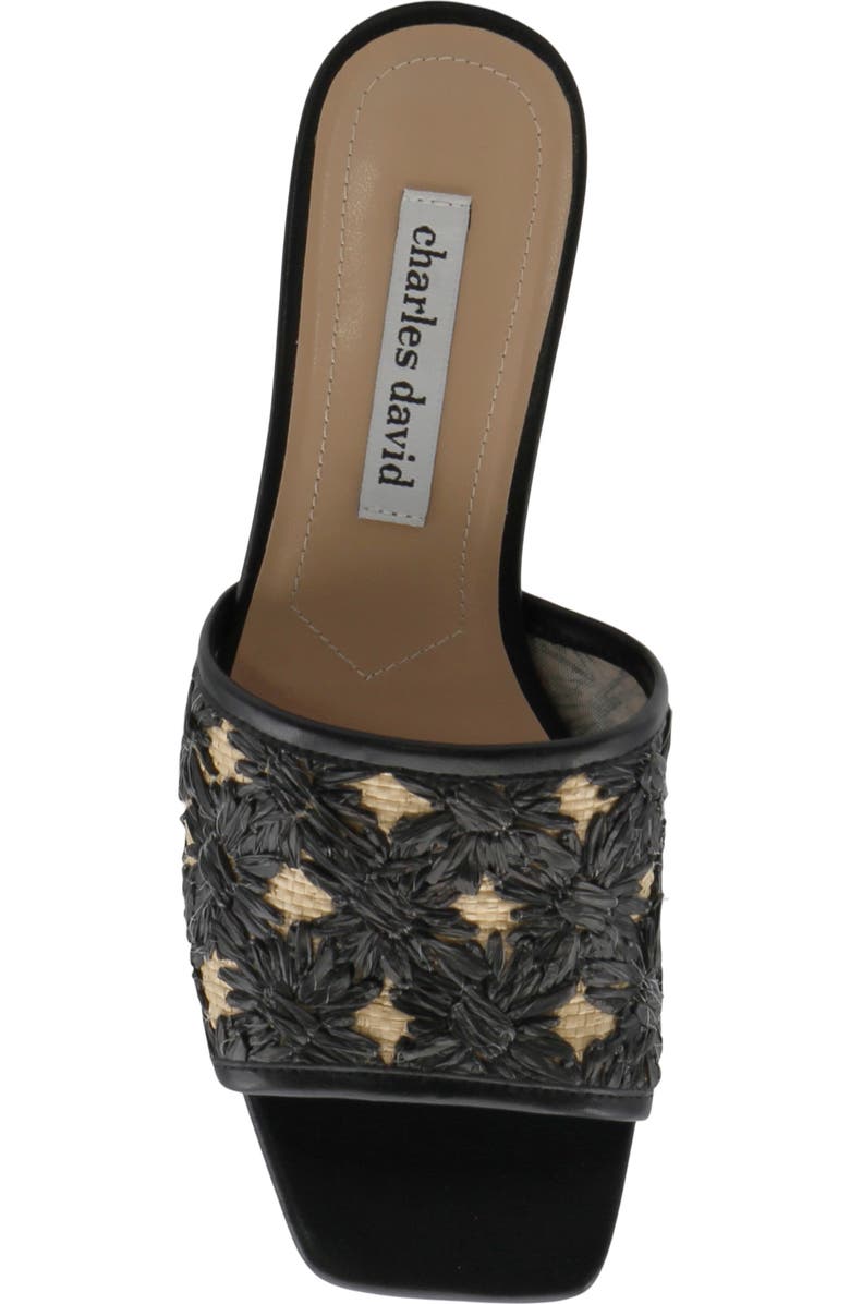 Charles David Raffi Slide Sandal, Alternate, color,