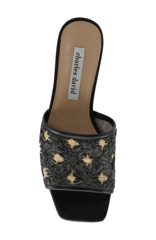 Charles David Raffi Slide Sandal In Black