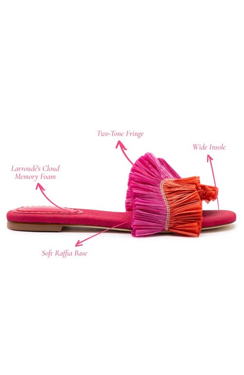 Larroude Larroudé Ivy Flat In Multi