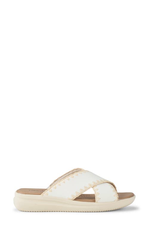 Baretraps Dolinda Slide Sandal In Off White Leather