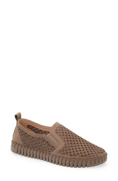 Ilse Jacobsen Tulip Slip-on Sneaker In Brown