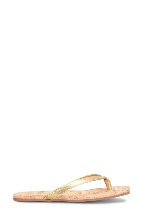 Korks Winnie Flip Flop In Gold