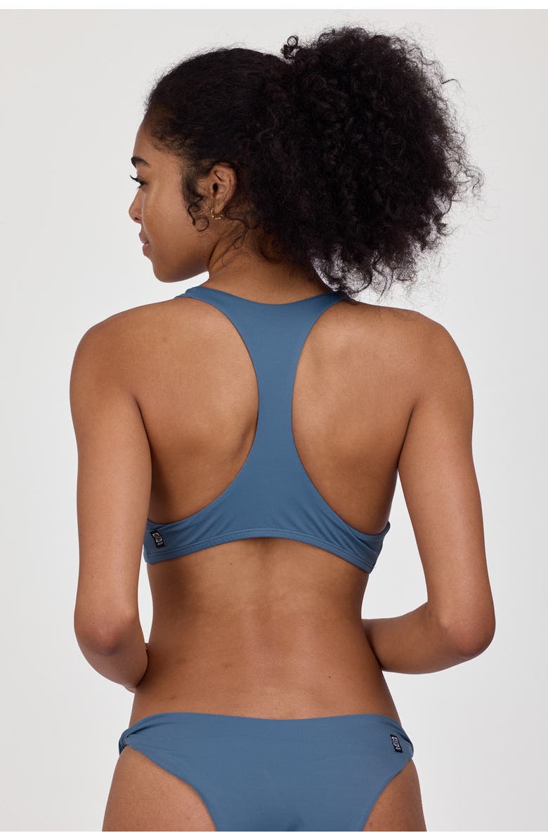 JOLYN Beverly Bikini Top, Alternate, color, Dolphins