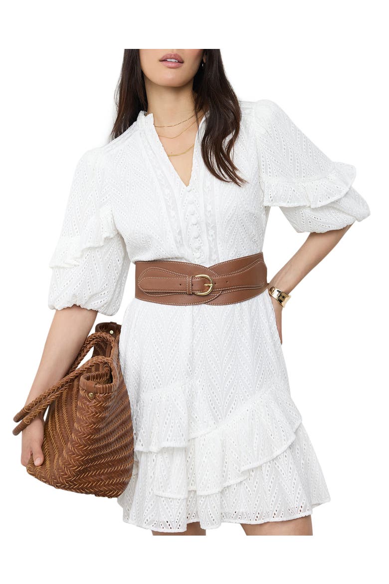 Embroidered Detail Mini Dress, Alternate, color, Ivory
